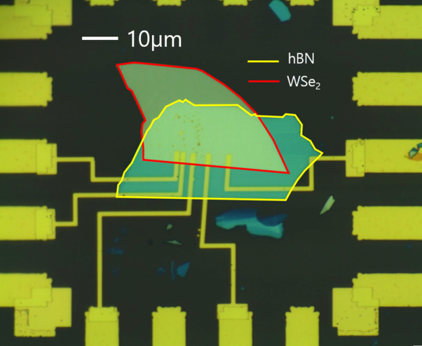 Optical image of Sample 1